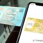 Cách tra cứu bằng lái xe trên thẻ Căn cước công dân cực kỳ tiện lợi