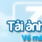 Hướng dẫn tải về hình ảnh trên Zalo về máy tính, điện thoại