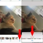 Hướng dẫn cách xóa nhanh toàn bộ ảnh trên iPhone cực dễ chỉ trong một nốt nhạc