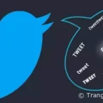 Hướng dẫn cách 'Tắt thông báo' Twitter trên máy tính thông qua Safari Desktop