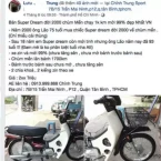 Honda Super Dream đời 2000 được treo giá hơn 200 triệu ở Sài Gòn