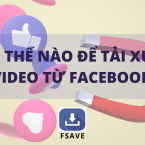 Cách tải video Facebook trên điện thoại iOS/Android và PC