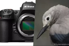 Nikon Z8 chính thức được giới thiệu: Kế thừa vị trí của D850 với mức giá $4000