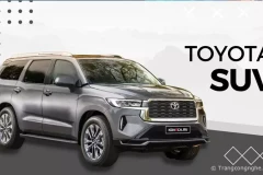 Toyota sản xuất SUV điện ba hàng ghế cho thương hiệu hạng sang Lexus