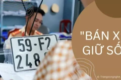Những thủ tục cần thiết khi mua bán xe với biển số định danh sau ngày 15/8