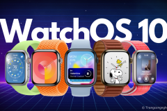 watchOS 10 chính thức với 6 tính năng mới đã sẵn sàng để người dùng tải về