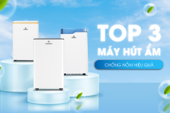 Top 3 máy hút ẩm chống nồm giá rẻ tốt nhất 2024