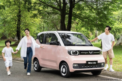 Xe ô tô điện giá rẻ chỉ khoảng 200 triệu đồng - Bí quyết sở hữu