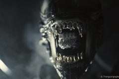 Bộ phim Alien: Romulus của đạo diễn Ridley Scott đã đánh bại Deadpool & Wolverine để dẫn đầu doanh thu phòng vé cuối tuần