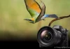 Ra mắt Nikon Z 8 - Máy ảnh kỹ thuật số không gương tiên tiến nhất của Nikon