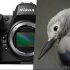 Nikon Z8 chính thức được giới thiệu: Kế thừa vị trí của D850 với mức giá $4000