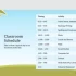 Những mẫu slide PowerPoint miễn phí tuyệt đẹp dành cho giáo viên