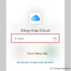 Cách xem ảnh đã sao lưu trên iCloud bằng iPhone, điện thoại Android