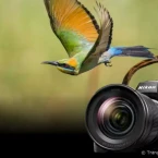 Ra mắt Nikon Z 8 - Máy ảnh kỹ thuật số không gương tiên tiến nhất của Nikon