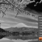 Adobe Photoshop 2023: Phiên bản 24.5 ra mắt với nhiều tính năng AI mới được bổ sung