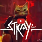 Stray: Trò chơi phiêu lưu về mèo nổi tiếng sẽ sớm được phát hành trên Mac