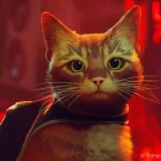 Stray - Hành trình khám phá thành phố hoang tàn qua mắt "Hoàng thượng"