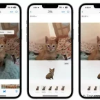 Biến hình ảnh của mình thành những hình dán động với iOS 17