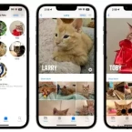 Ứng dụng Photos trên iOS 17 nhận diện được vật nuôi của bạn trong album ảnh