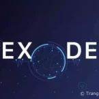 Sự khác biệt giữa sàn tập trung và sàn phi tập trung trong đầu tư crypto