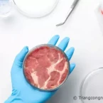 Thịt nhân tạo là gì ? Giá thành có đắt không ? Mua ở đâu ?