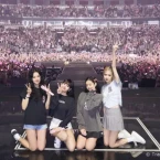 Concert của BLACKPINK bị yêu cầu hủy vì vi phạm vấn đề bản quyền âm nhạc