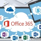 Nên dùng Microsoft Office 365  bản quyền không?