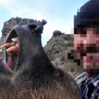 Selfie với gấu, người đàn ông bị cắn tử vong