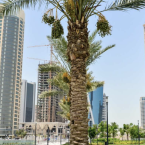 Dòng tiền từ các quỹ đầu tư sẽ tăng mạnh vào các Startup Đông Nam Á