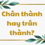 Chân thành hay trân thành : Đâu là từ đúng chính tả trong Tiếng Việt ?