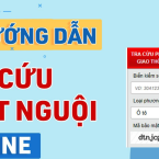 Các cách kiểm tra thông tin xử phạt giao thông (Phạt nguội) trên toàn quốc