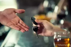 Danh sách các Ứng dụng "Lái xe hộ" tốt nhất tại Việt Nam