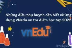 “Tất tần tật” những điều phụ huynh cần biết về ứng dụng VNedu.vn tra điểm học tập 2022