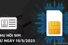 Những thuê bao thuộc 2 trường hợp này sẽ bị khóa SIM, thu hồi số điện thoại kể từ ngày 15/5/2023