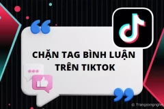 Cách chặn tag bình luận trên TikTok tránh làm phiền từ người lạ