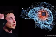 Elon Musk chuẩn bị cuộc thử nghiệm cấy chip vào não người