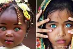 Mắt Biếc là gì ? Vận mệnh người sở hữu Mắt Biếc sẽ như thế nào ?