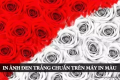 In đen trắng chuẩn với các máy in màu hiện nay