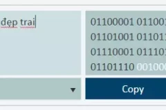 Những bước cơ bản giải mã số nhị phân