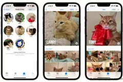 Ứng dụng Photos trên iOS 17 nhận diện được vật nuôi của bạn trong album ảnh