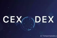 Sự khác biệt giữa sàn tập trung và sàn phi tập trung trong đầu tư crypto