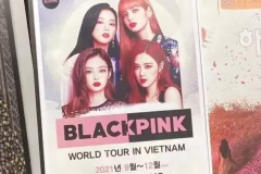 Hướng dẫn mua vé CONCERT BLACKPINK tại Hà Nội qua TICKETBOX nhanh nhất