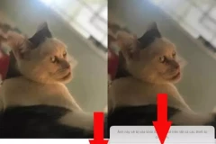 Hướng dẫn cách xóa nhanh toàn bộ ảnh trên iPhone cực dễ chỉ trong một nốt nhạc