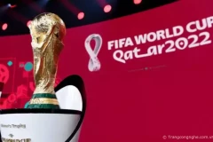 K+ có chiếu vòng loại World Cup không?Có các trận của Việt Nam không?