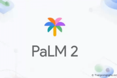 Google-PaLM là gì? Có thể sử dụng để kiểm tra trùng lặp nội dung hay viết content không?