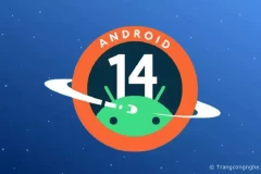 Android 14 Beta 4.1 khắc phục các lỗi trên thiết bị Pixel