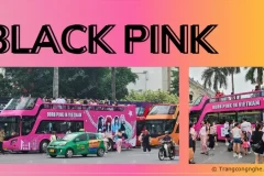 Ngày diễn ra concert Born Pink đến gần, 3 fansite lớn nhất Việt Nam chào đón bằng chuỗi dự án đặc biệt