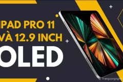 iPad Pro 11 và 12.9 inch với tấm nền OLED bắt đầu sản xuất từ 2024