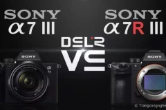 So sánh Sony A7 III và A7R III: Bạn lựa chọn sản phẩm nào?