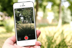 Quay phim chế độ bí mật mà người khác không phát hiện ra trên iOS 11 và iOS 12